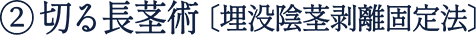 切る長茎術〔埋没陰茎剥離固定法〕