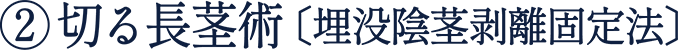 ② 切る長茎術 〔埋没陰茎剥離固定法〕